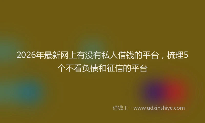 2026年最新网上有没有私人借钱的平台，梳理5个不看负债和征信的平台
