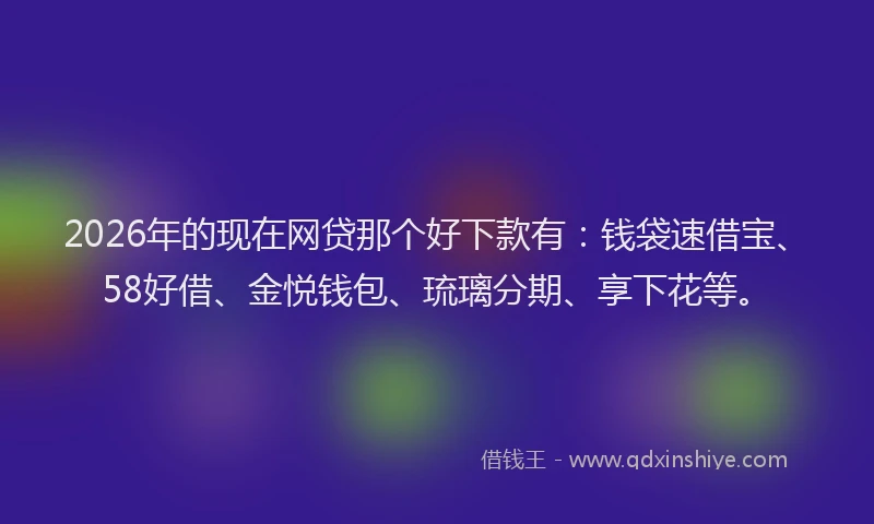 2026年的现在网贷那个好下款有：钱袋速借宝、58好借、金悦钱包、琉璃分期、享下花等。