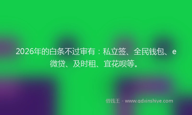 2026年的白条不过审有：私立签、全民钱包、e微贷、及时租、宜花呗等。