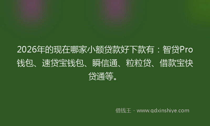 2026年的现在哪家小额贷款好下款有：智贷Pro钱包、速贷宝钱包、瞬信通、粒粒贷、借款宝快贷通等。