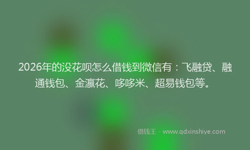 2026年的没花呗怎么借钱到微信有：飞融贷、融通钱包、金瀛花、哆哆米、超易钱包等。
