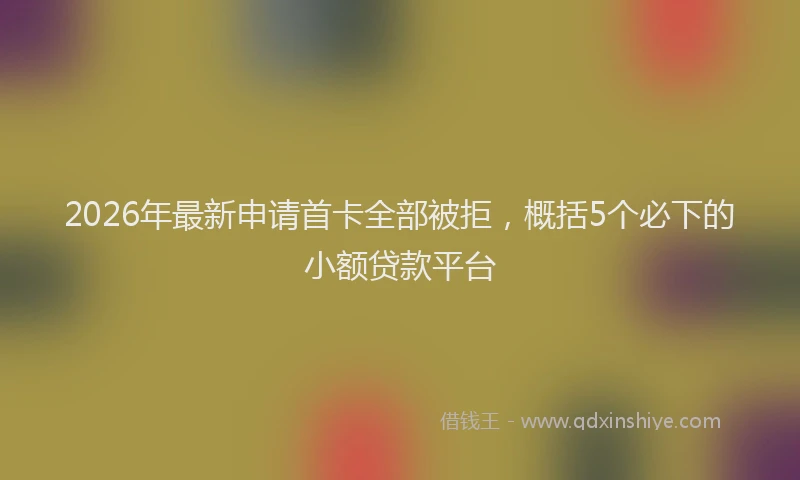 2026年最新申请首卡全部被拒，概括5个必下的小额贷款平台