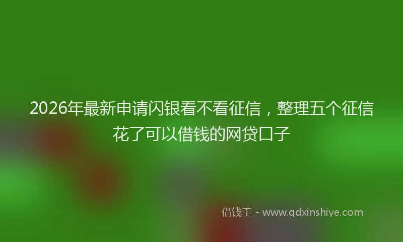 2026年最新申请闪银看不看征信，整理五个征信花了可以借钱的网贷口子