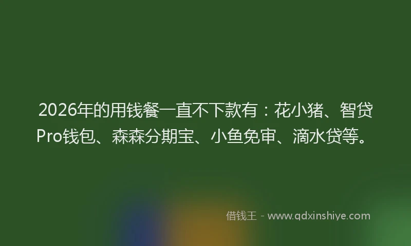 2026年的用钱餐一直不下款有：花小猪、智贷Pro钱包、森森分期宝、小鱼免审、滴水贷等。