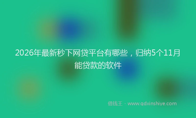 2026年最新秒下网贷平台有哪些，归纳5个11月能贷款的软件