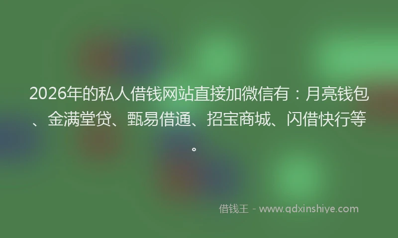 2026年的私人借钱网站直接加微信有：月亮钱包、金满堂贷、甄易借通、招宝商城、闪借快行等。