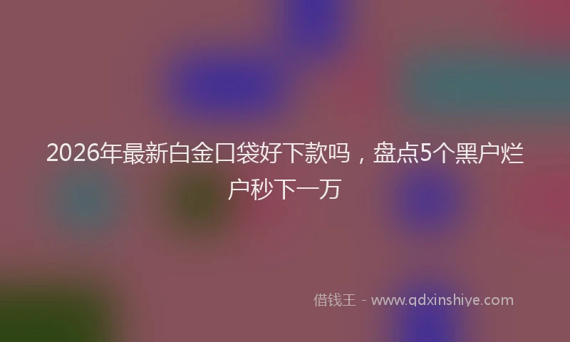 2026年最新白金口袋好下款吗，盘点5个黑户烂户秒下一万