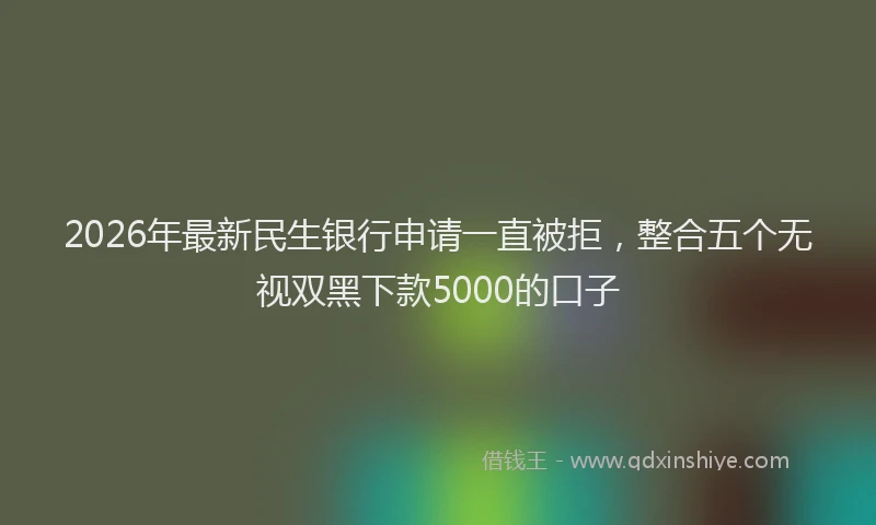2026年最新民生银行申请一直被拒，整合五个无视双黑下款5000的口子