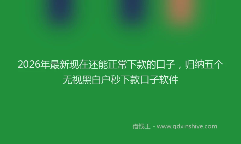 2026年最新现在还能正常下款的口子，归纳五个无视黑白户秒下款口子软件