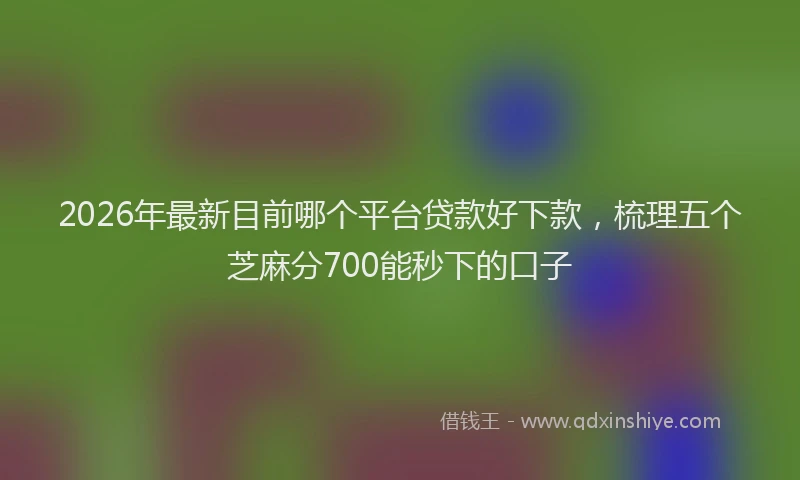 2026年最新目前哪个平台贷款好下款，梳理五个芝麻分700能秒下的口子