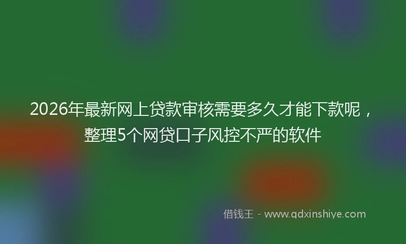 2026年最新网上贷款审核需要多久才能下款呢，整理5个网贷口子风控不严的软件
