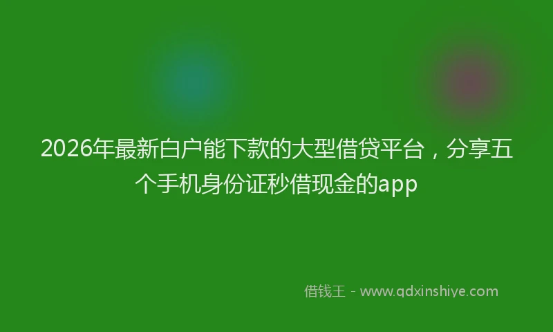 2026年最新白户能下款的大型借贷平台，分享五个手机身份证秒借现金的app