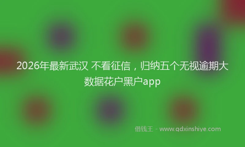 2026年最新武汉 不看征信，归纳五个无视逾期大数据花户黑户app