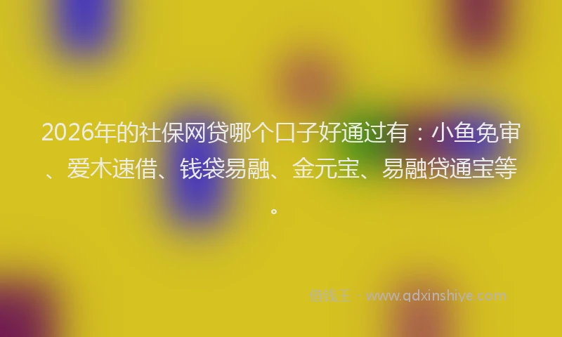 2026年的社保网贷哪个口子好通过有：小鱼免审、爱木速借、钱袋易融、金元宝、易融贷通宝等。