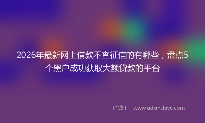 2026年最新网上借款不查征信的有哪些，盘点5个黑户成功获取大额贷款的平台