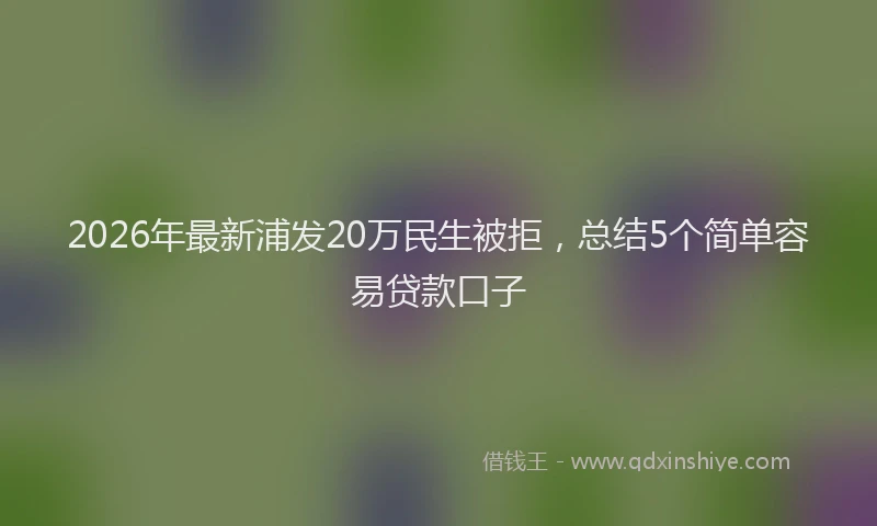 2026年最新浦发20万民生被拒，总结5个简单容易贷款口子