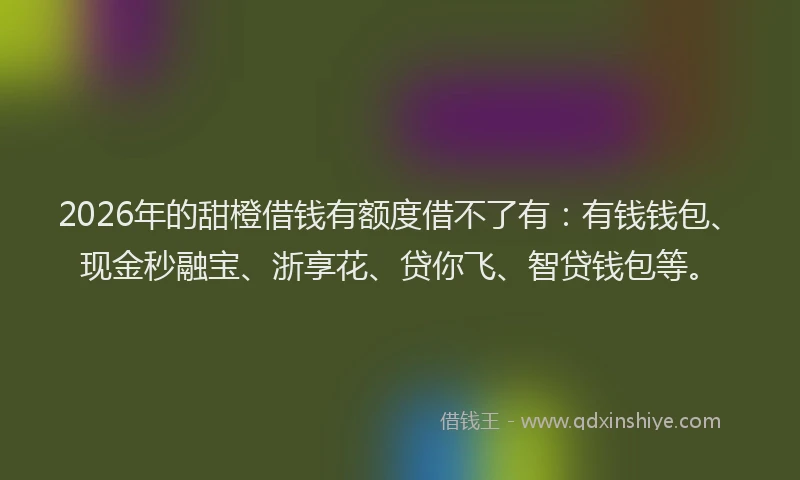 2026年的甜橙借钱有额度借不了有：有钱钱包、现金秒融宝、浙享花、贷你飞、智贷钱包等。