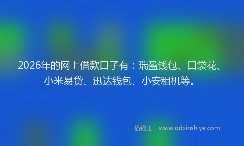 2026年的网上借款口子有：瑞盈钱包、口袋花、小米易贷、迅达钱包、小安租机等。