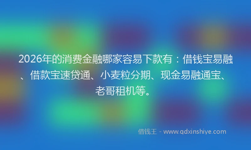 2026年的消费金融哪家容易下款有：借钱宝易融、借款宝速贷通、小麦粒分期、现金易融通宝、老哥租机等。