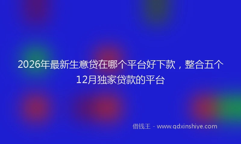 2026年最新生意贷在哪个平台好下款，整合五个12月独家贷款的平台