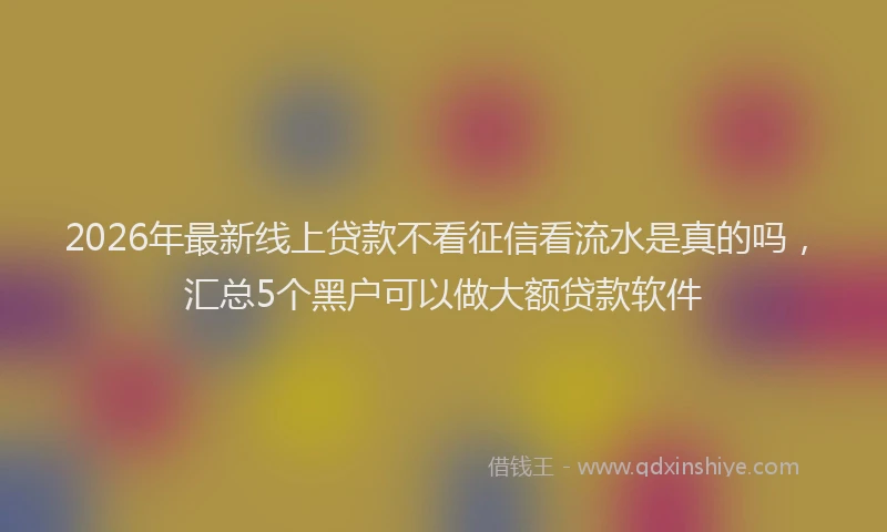 2026年最新线上贷款不看征信看流水是真的吗，汇总5个黑户可以做大额贷款软件