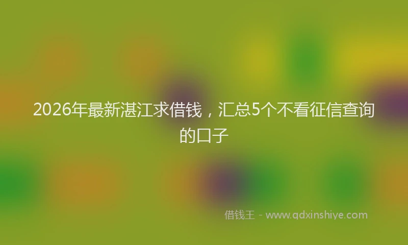 2026年最新湛江求借钱，汇总5个不看征信查询的口子