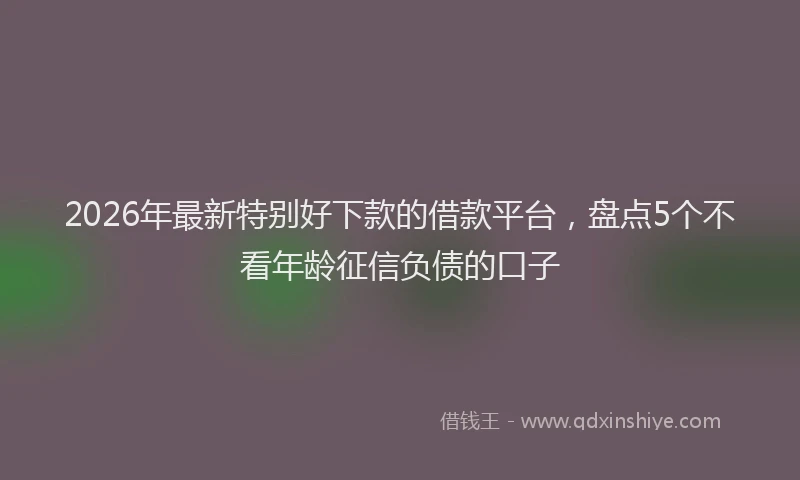 2026年最新特别好下款的借款平台，盘点5个不看年龄征信负债的口子
