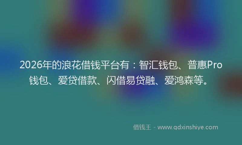 2026年的浪花借钱平台有：智汇钱包、普惠Pro钱包、爱贷借款、闪借易贷融、爱鸿森等。