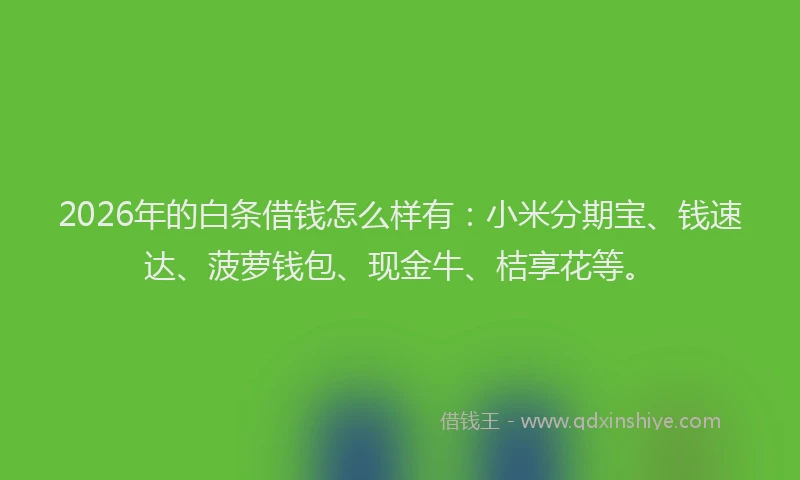 2026年的白条借钱怎么样有：小米分期宝、钱速达、菠萝钱包、现金牛、桔享花等。
