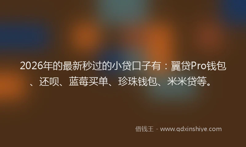 2026年的最新秒过的小贷口子有：翼贷Pro钱包、还呗、蓝莓买单、珍珠钱包、米米贷等。