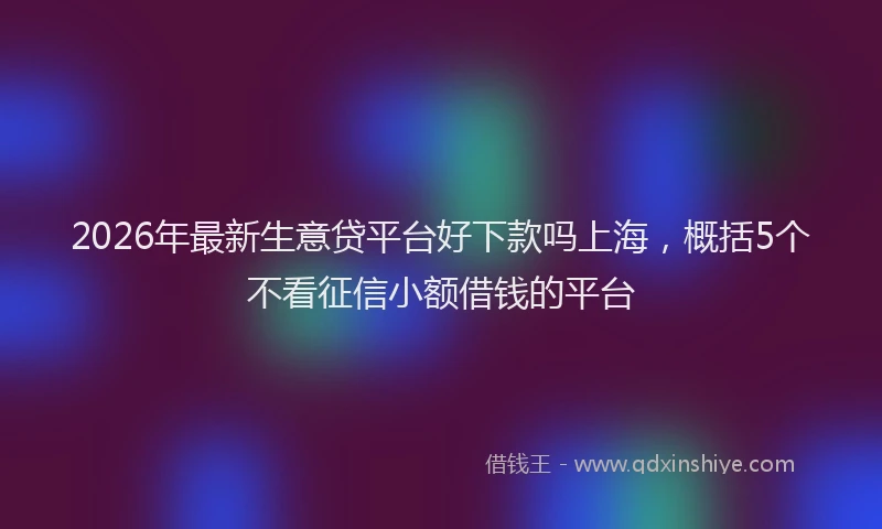 2026年最新生意贷平台好下款吗上海，概括5个不看征信小额借钱的平台