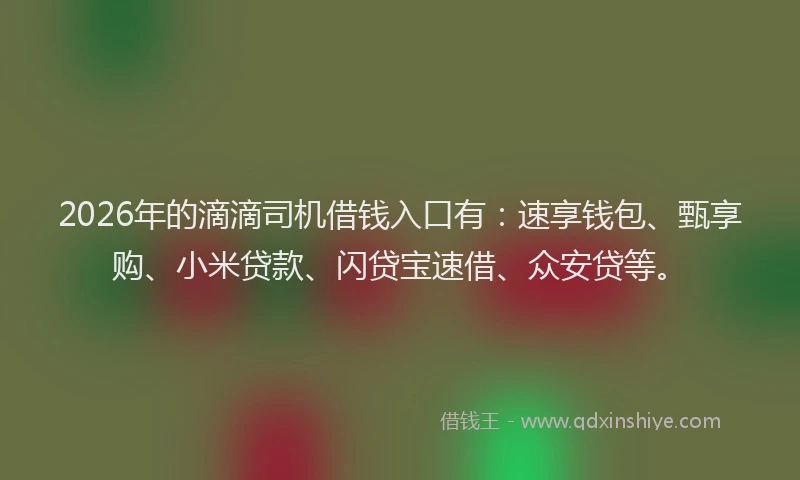 2026年的滴滴司机借钱入口有：速享钱包、甄享购、小米贷款、闪贷宝速借、众安贷等。