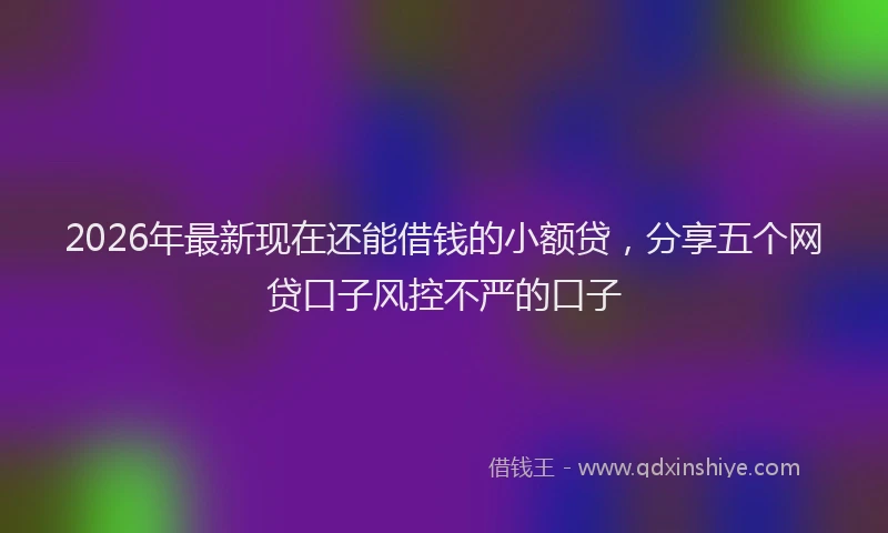 2026年最新现在还能借钱的小额贷，分享五个网贷口子风控不严的口子