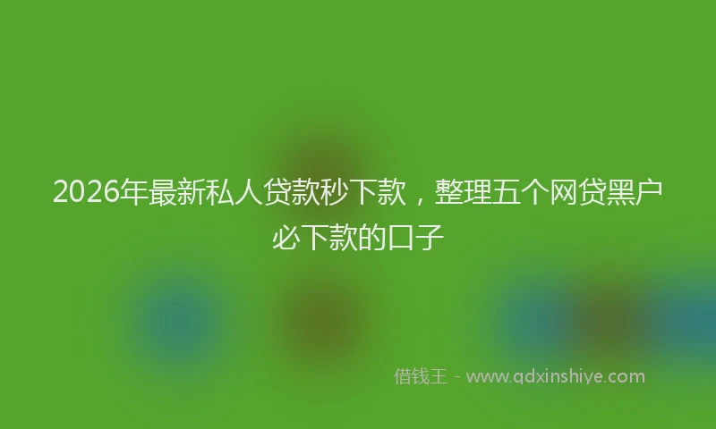 2026年最新私人贷款秒下款，整理五个网贷黑户必下款的口子