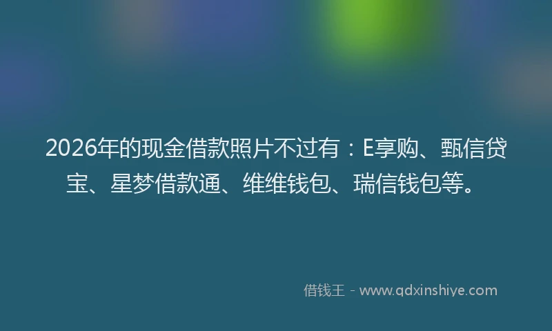 2026年的现金借款照片不过有：E享购、甄信贷宝、星梦借款通、维维钱包、瑞信钱包等。