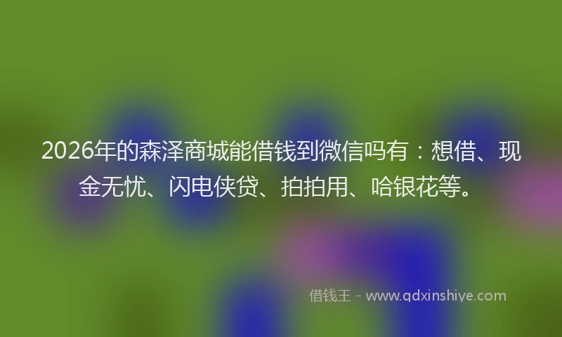 2026年的森泽商城能借钱到微信吗有：想借、现金无忧、闪电侠贷、拍拍用、哈银花等。