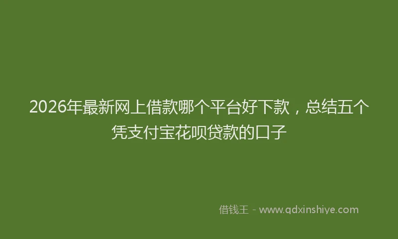 2026年最新网上借款哪个平台好下款，总结五个凭支付宝花呗贷款的口子