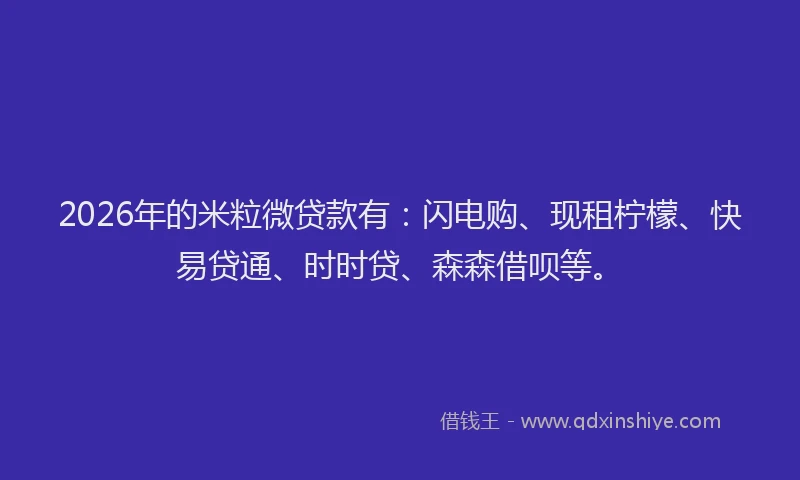 2026年的米粒微贷款有：闪电购、现租柠檬、快易贷通、时时贷、森森借呗等。