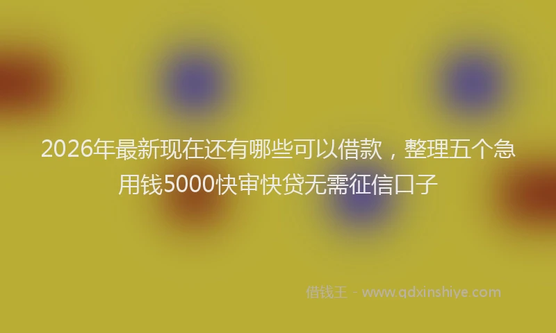 2026年最新现在还有哪些可以借款，整理五个急用钱5000快审快贷无需征信口子