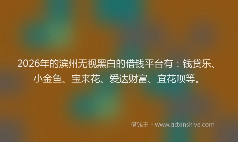 2026年的滨州无视黑白的借钱平台有：钱贷乐、小金鱼、宝来花、爱达财富、宜花呗等。