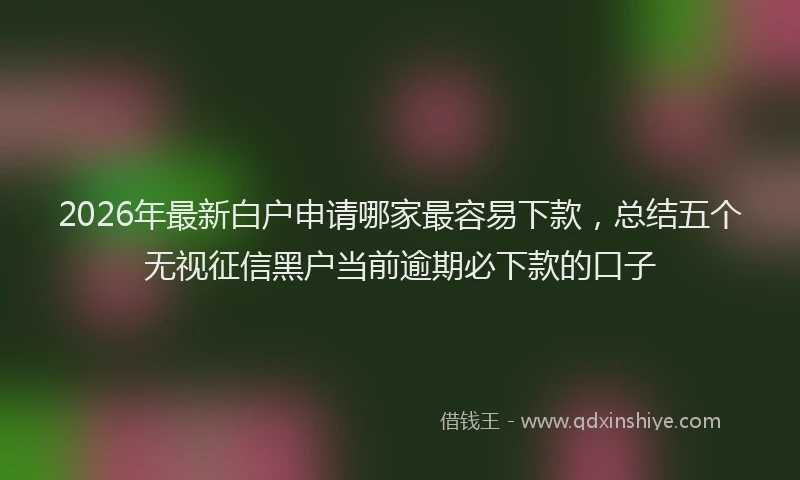 2026年最新白户申请哪家最容易下款，总结五个无视征信黑户当前逾期必下款的口子