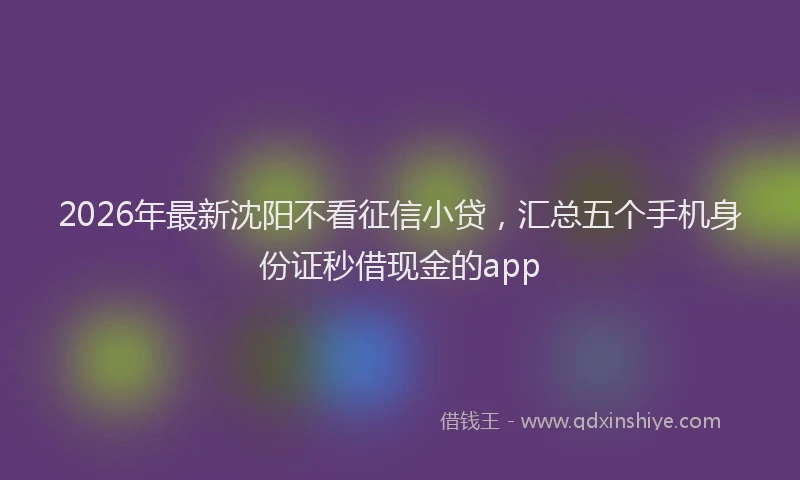 2026年最新沈阳不看征信小贷，汇总五个手机身份证秒借现金的app