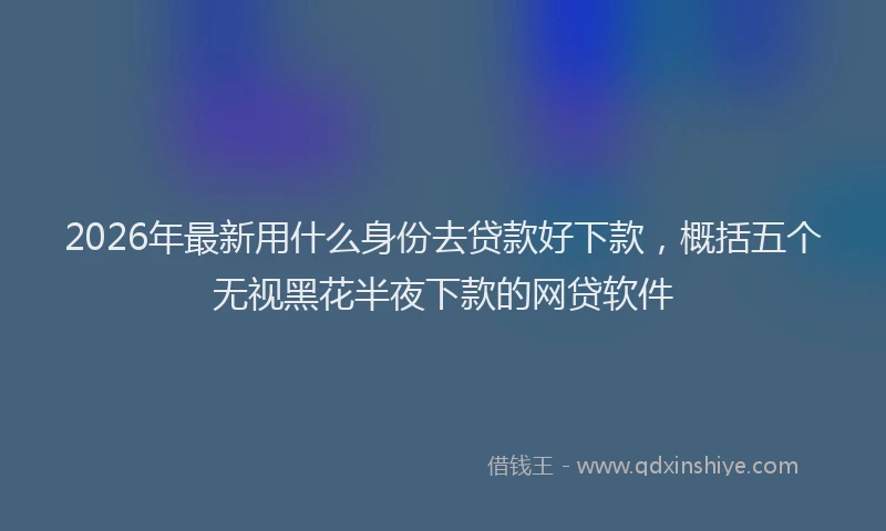2026年最新用什么身份去贷款好下款，概括五个无视黑花半夜下款的网贷软件