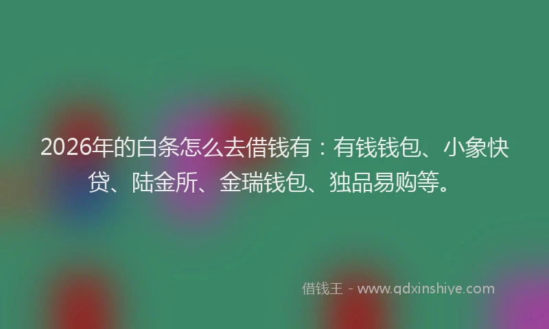 2026年的白条怎么去借钱有：有钱钱包、小象快贷、陆金所、金瑞钱包、独品易购等。