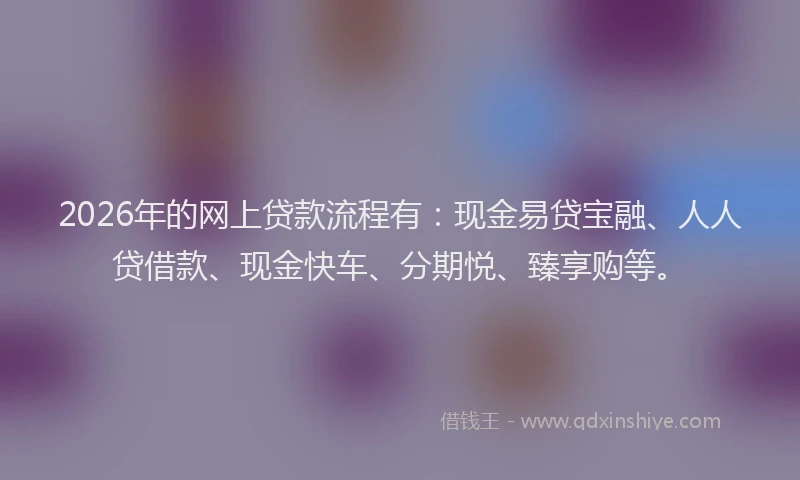 2026年的网上贷款流程有：现金易贷宝融、人人贷借款、现金快车、分期悦、臻享购等。