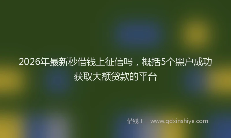 2026年最新秒借钱上征信吗，概括5个黑户成功获取大额贷款的平台