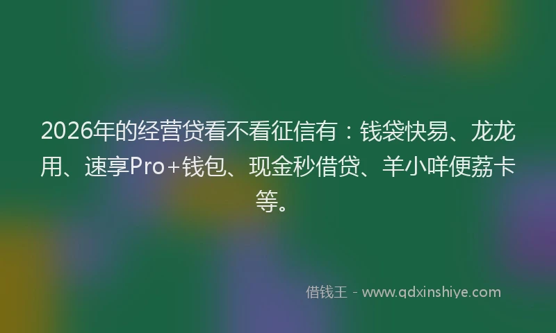 2026年的经营贷看不看征信有：钱袋快易、龙龙用、速享Pro+钱包、现金秒借贷、羊小咩便荔卡等。