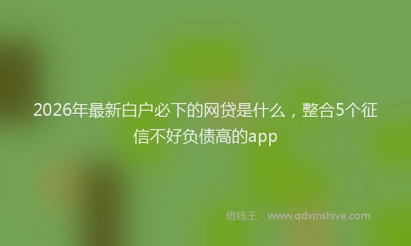 2026年最新白户必下的网贷是什么，整合5个征信不好负债高的app