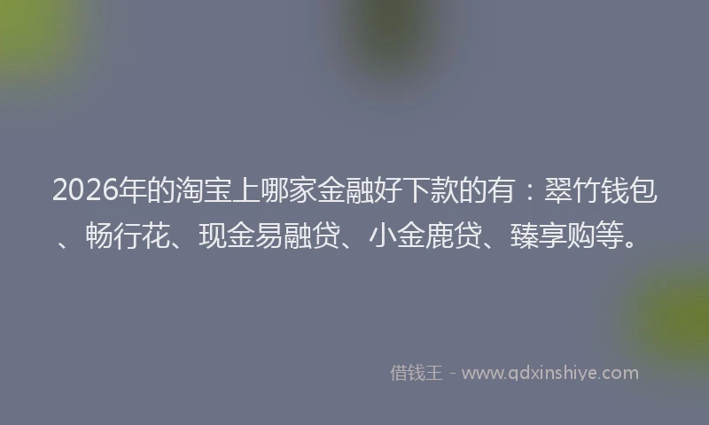 2026年的淘宝上哪家金融好下款的有：翠竹钱包、畅行花、现金易融贷、小金鹿贷、臻享购等。