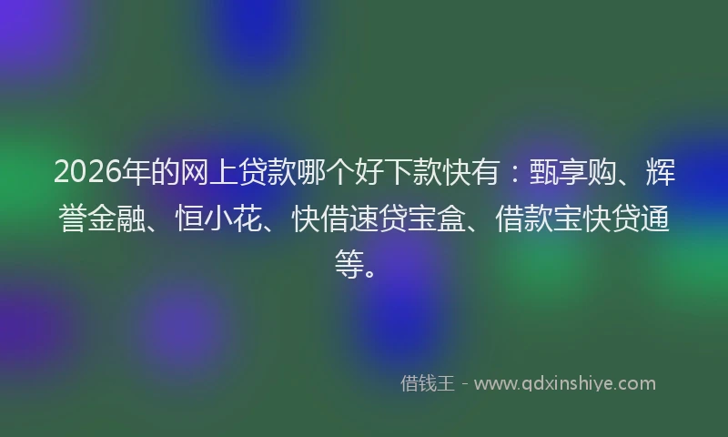 2026年的网上贷款哪个好下款快有：甄享购、辉誉金融、恒小花、快借速贷宝盒、借款宝快贷通等。